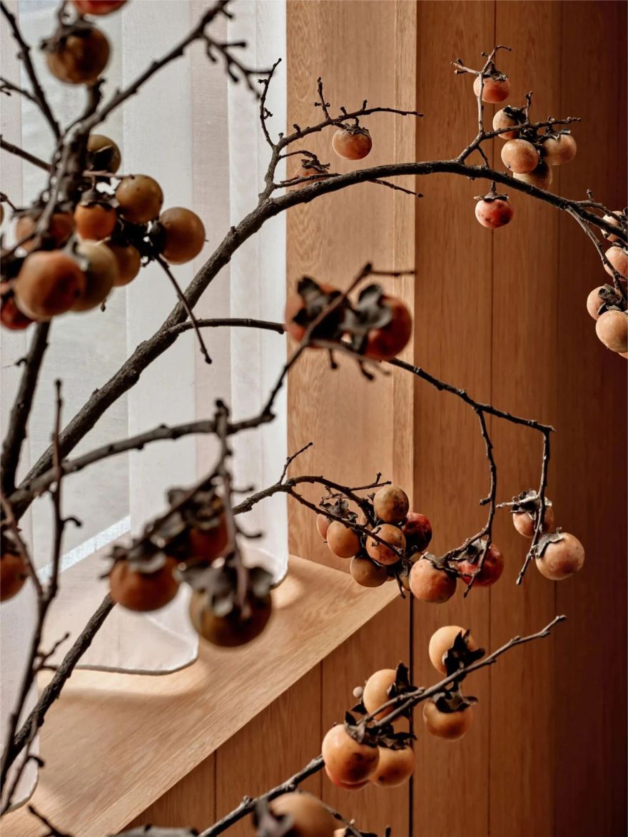 USM 梦想之家丨Halleroed-26