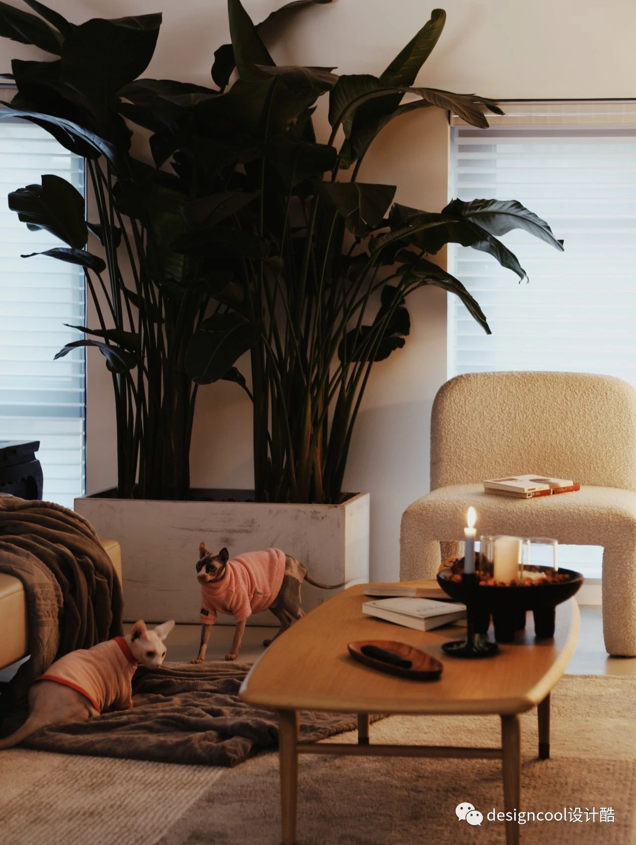 INBOX 盒子丨恒田设计研究所-39