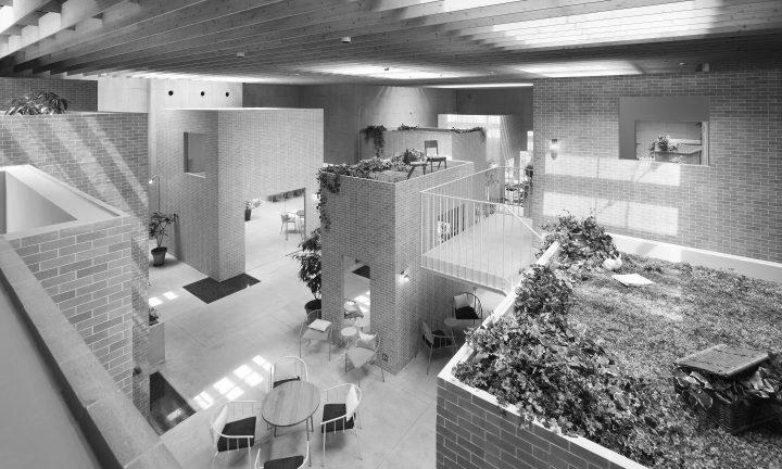 Blue Blanc  Suppose Design-4