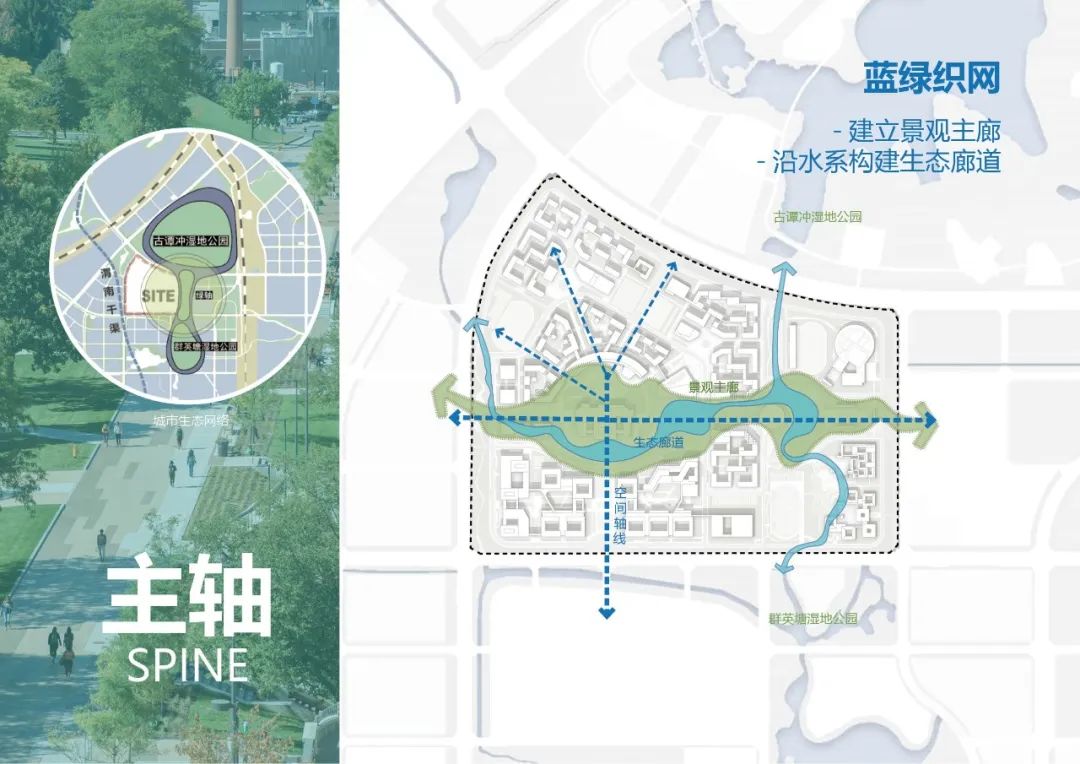 安徽医科大学新医科中心(新校区)项目总体规划丨中国合肥丨同济大学建筑设计研究院(集团)有限公司-29