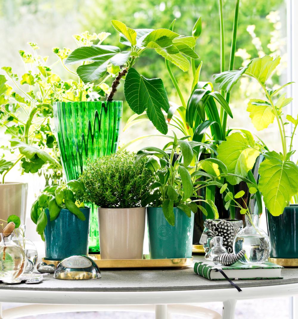 软装的魅力，下午茶之梦-11