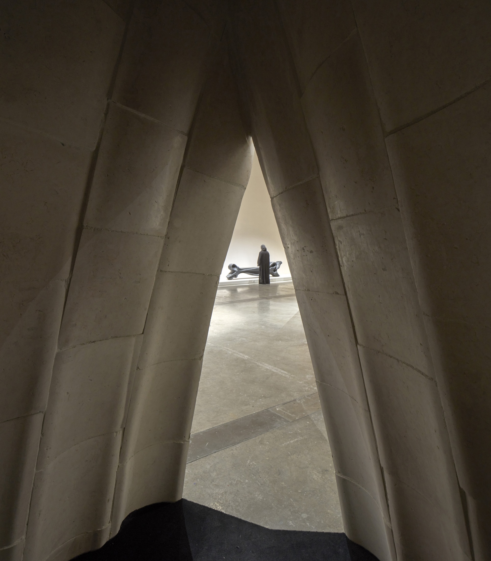 提亚马特装置丨卡塔尔多哈丨AAU ANASTAS-26