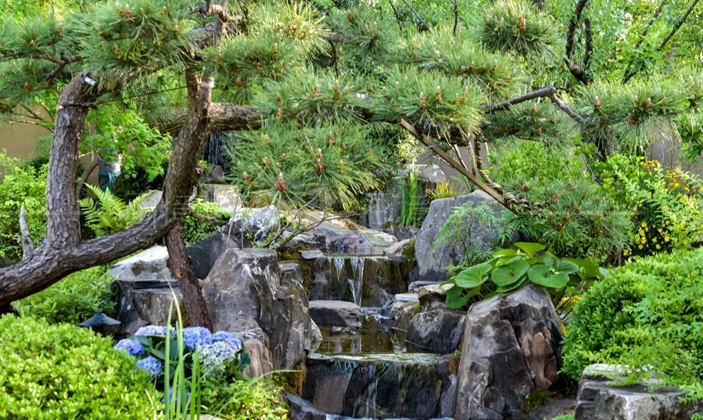 万科公望庭院丨草月流-21