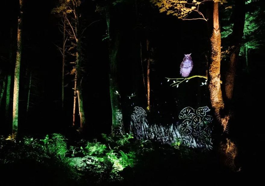 沉浸式的数字艺术之旅——Moment Factory 全球惊艳项目盘点-32