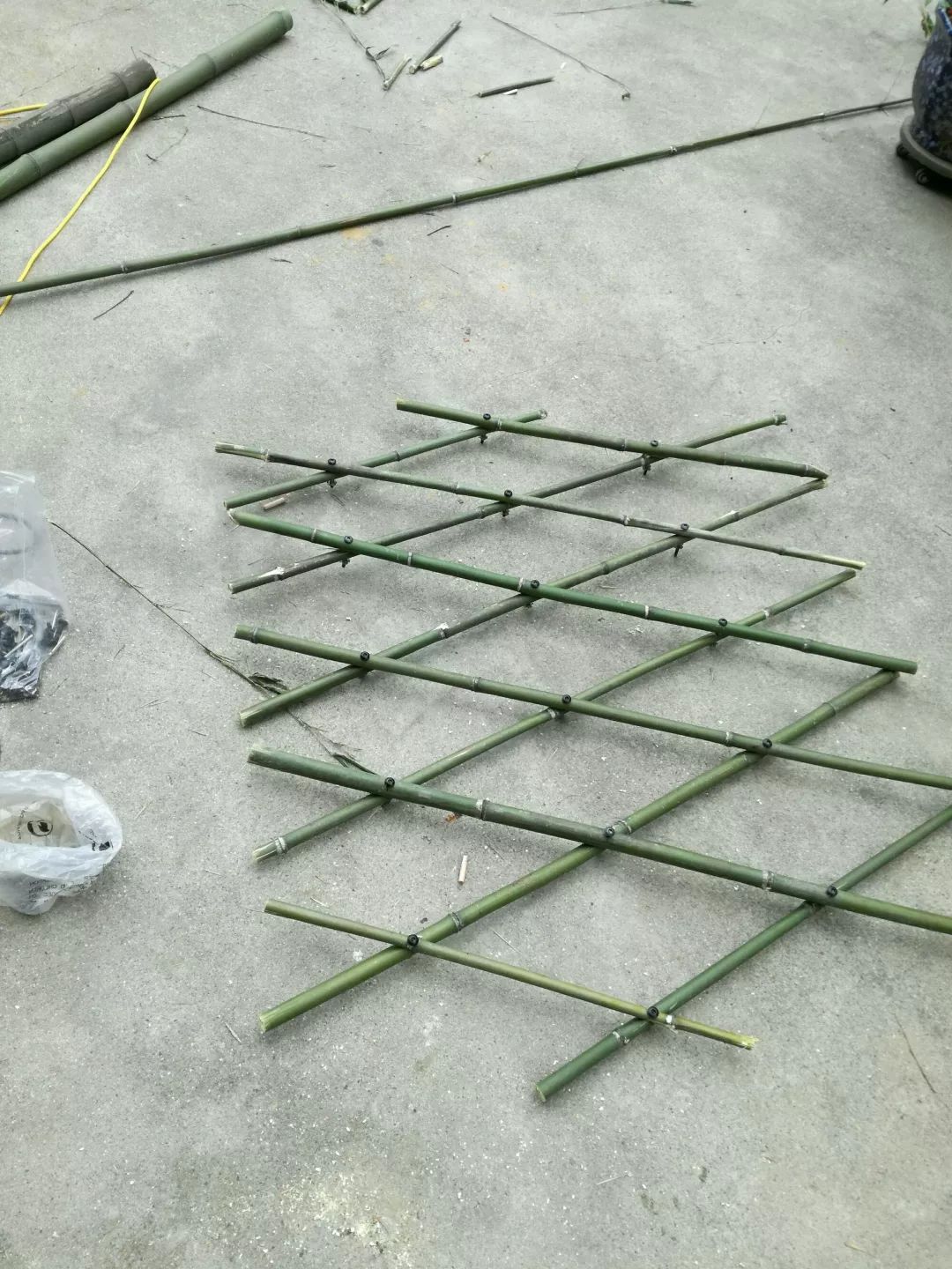 大叔也爱养花，3天造出个小花园，一分钱没花！-14