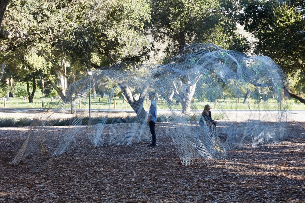 茧；茧状物；（某些昆虫的）卵袋；防护层丨Bach Architecture 及多学科学生团队-2