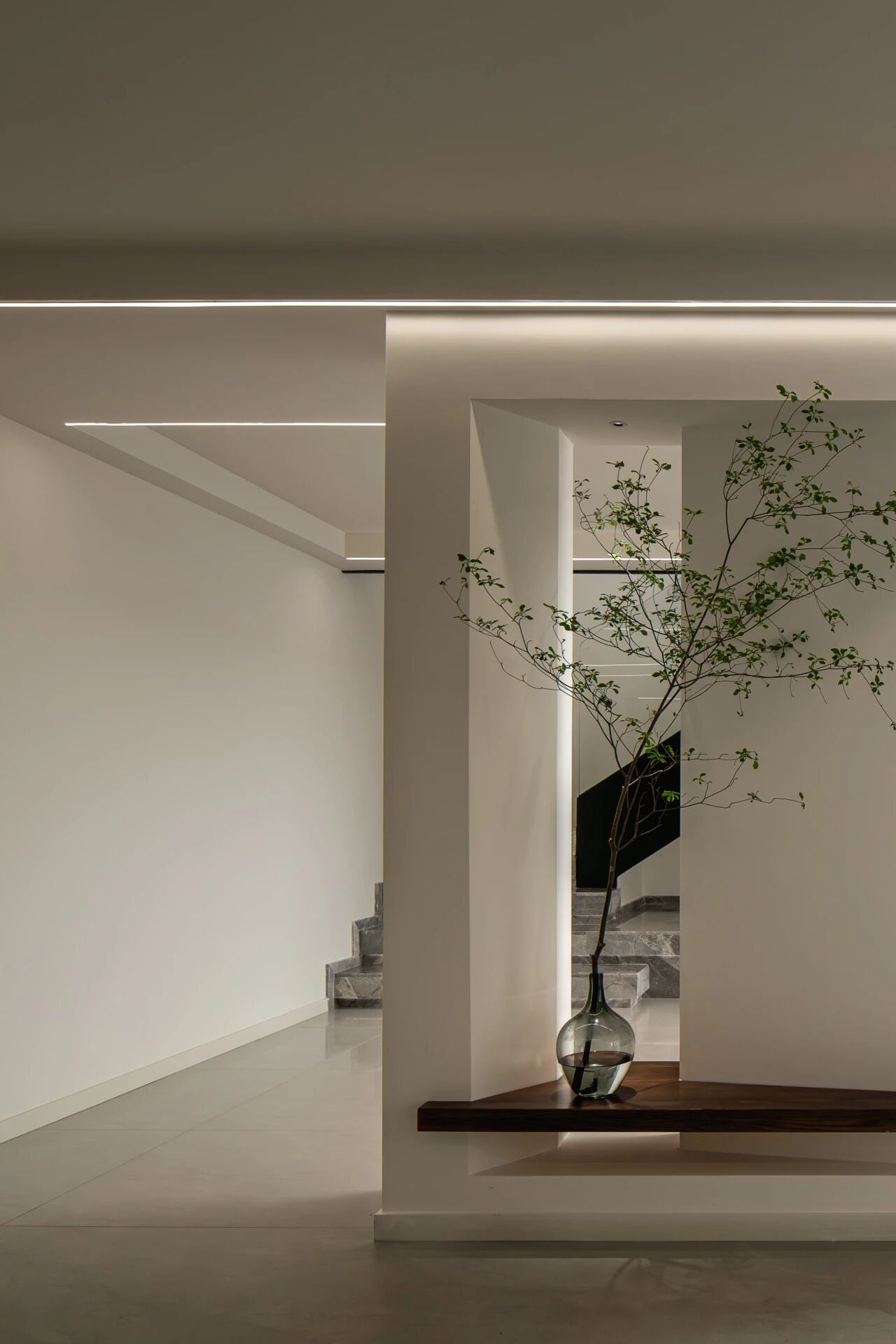 首发 X 熊翔飞 X 静奢白境  家的自然叙事：向光处，有风来_20260110-12