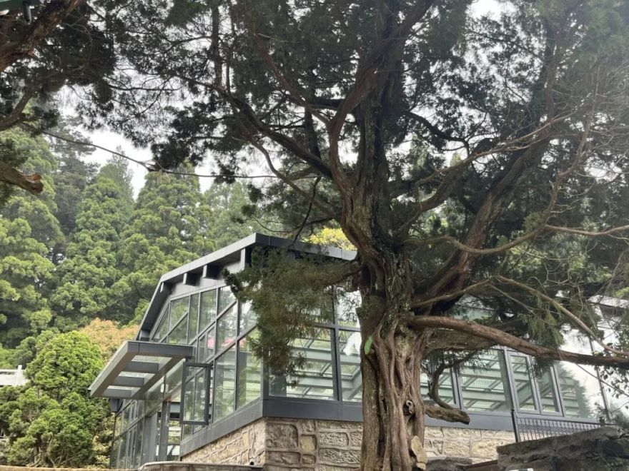 庐山植物园基础设施提升改造项目圆满竣工!-40