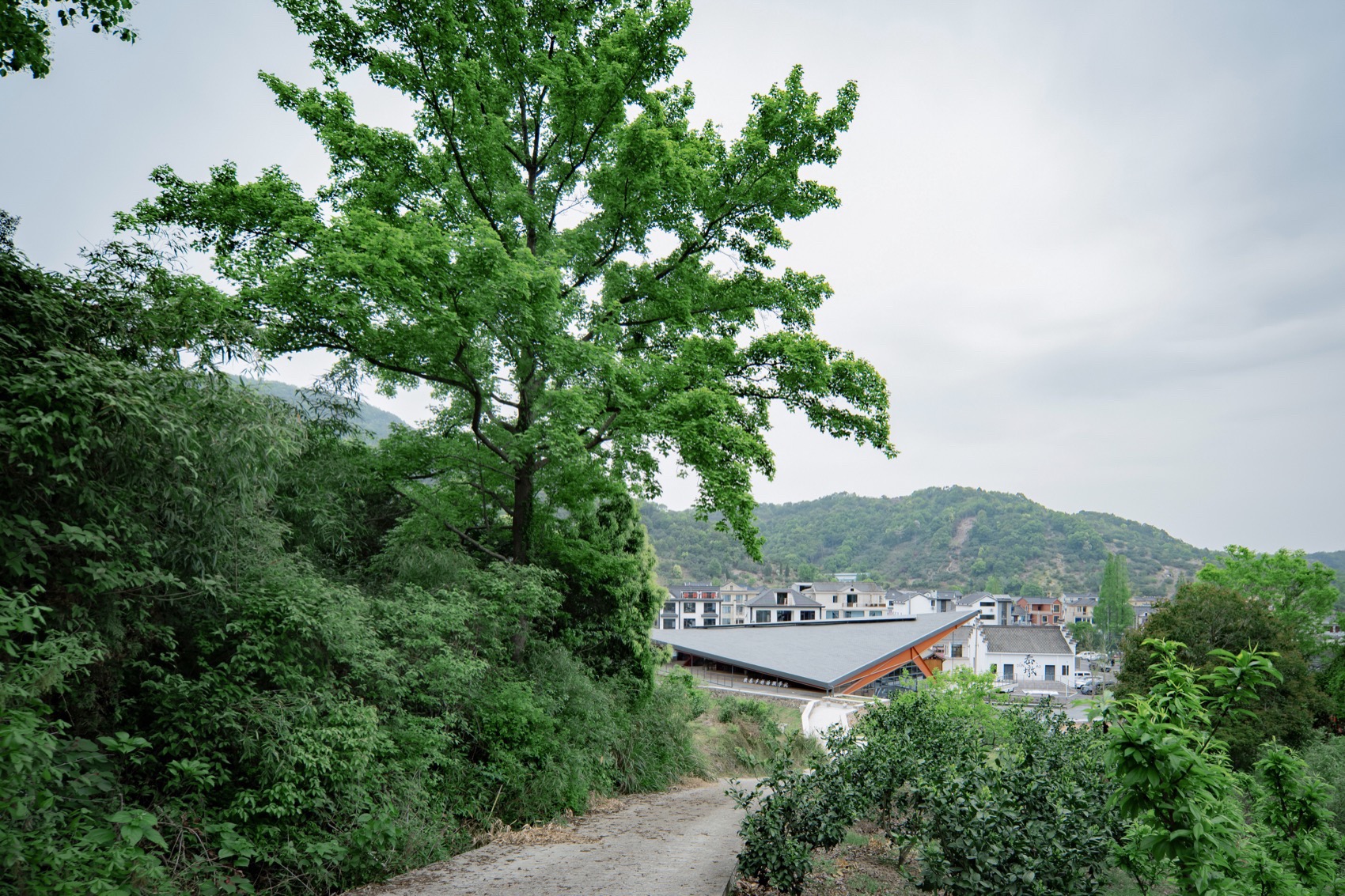 墩岙乡村治理学院丨中国浙江丨本末联合建筑-102