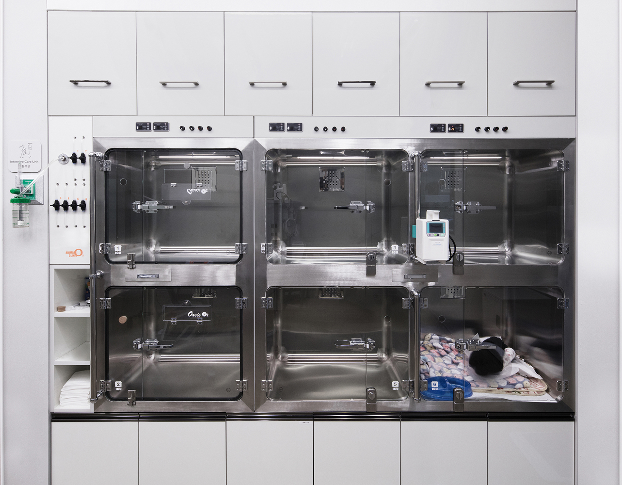 绿洲兽医外科中心 | 功能与美感的完美结合-38