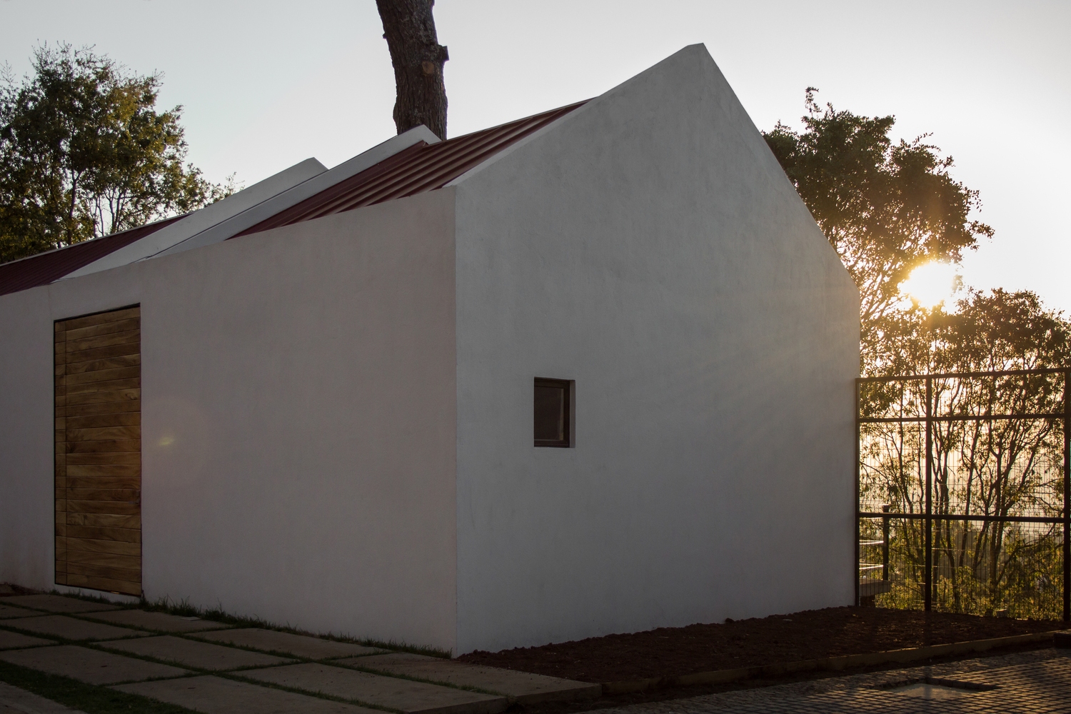 墨西哥“树屋”设计，自然与建筑和谐共生-22