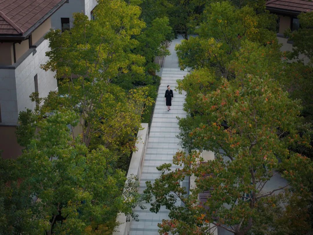 城市“兴交付”Vol.43｜交付杭州的诗意@公望-17