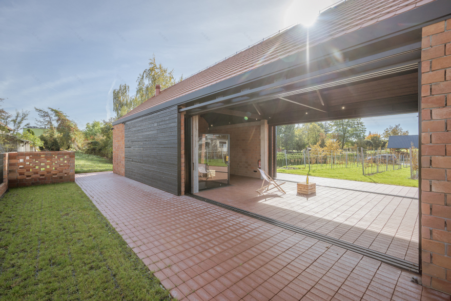 VINEYARD IN DOBRZEŃ MAŁY, POLAND | PORT-17