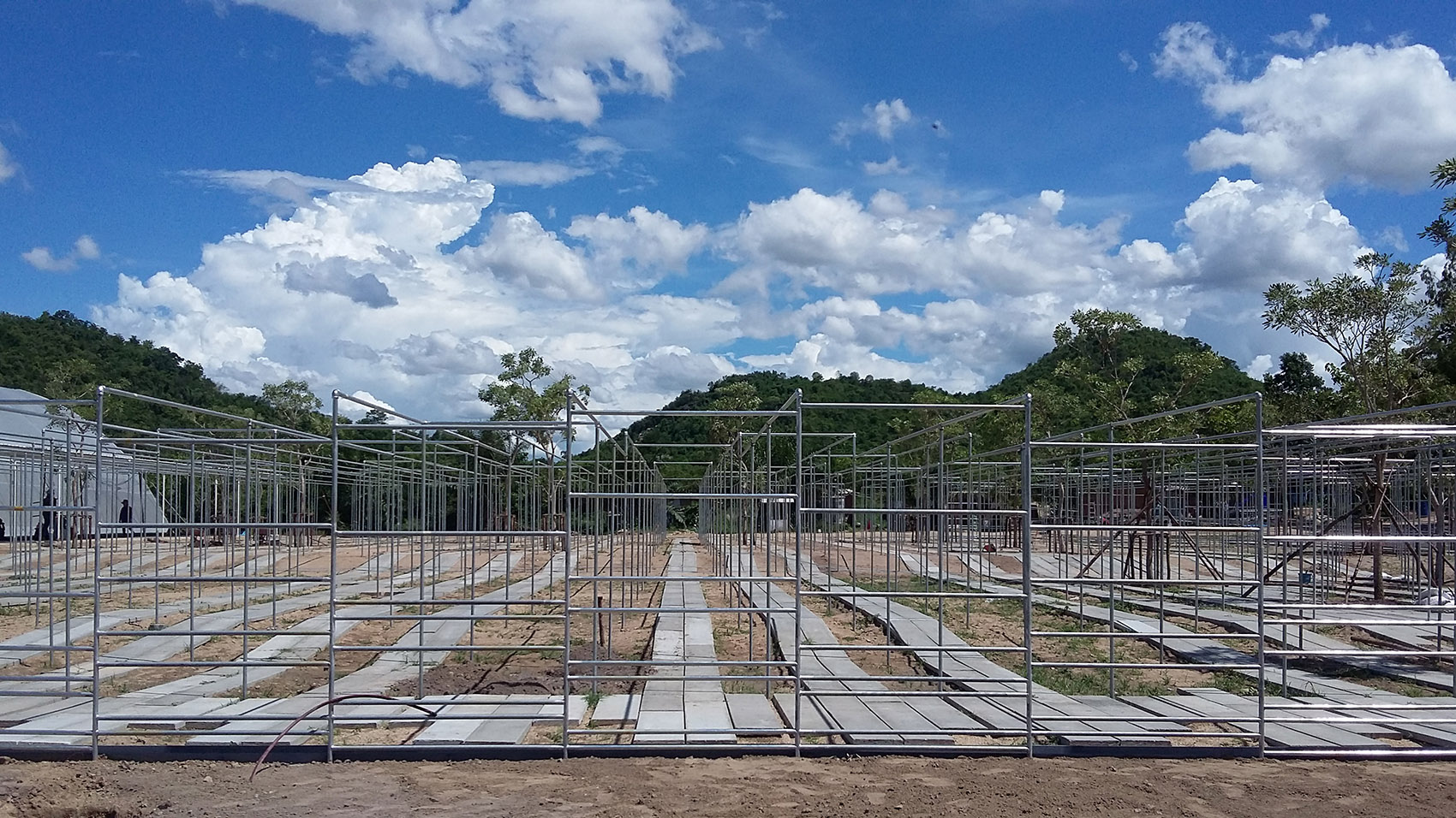 都市农场，泰国 / Integrated Field Co.,Ltd.-85