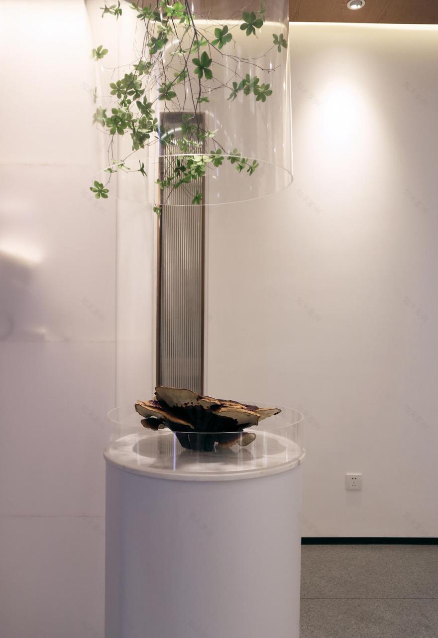 华同德堂中医馆-23