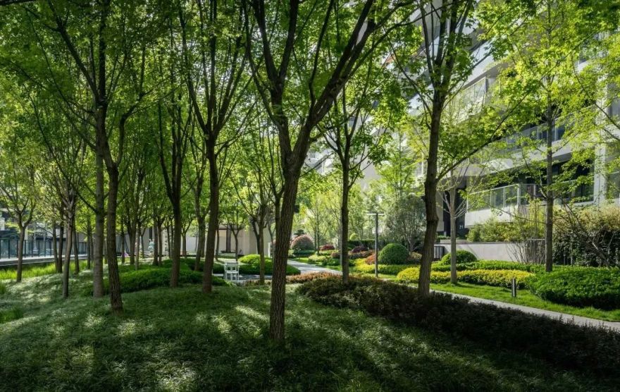 西安曲江·雁栖玫瑰园住宅景观丨中国西安-6