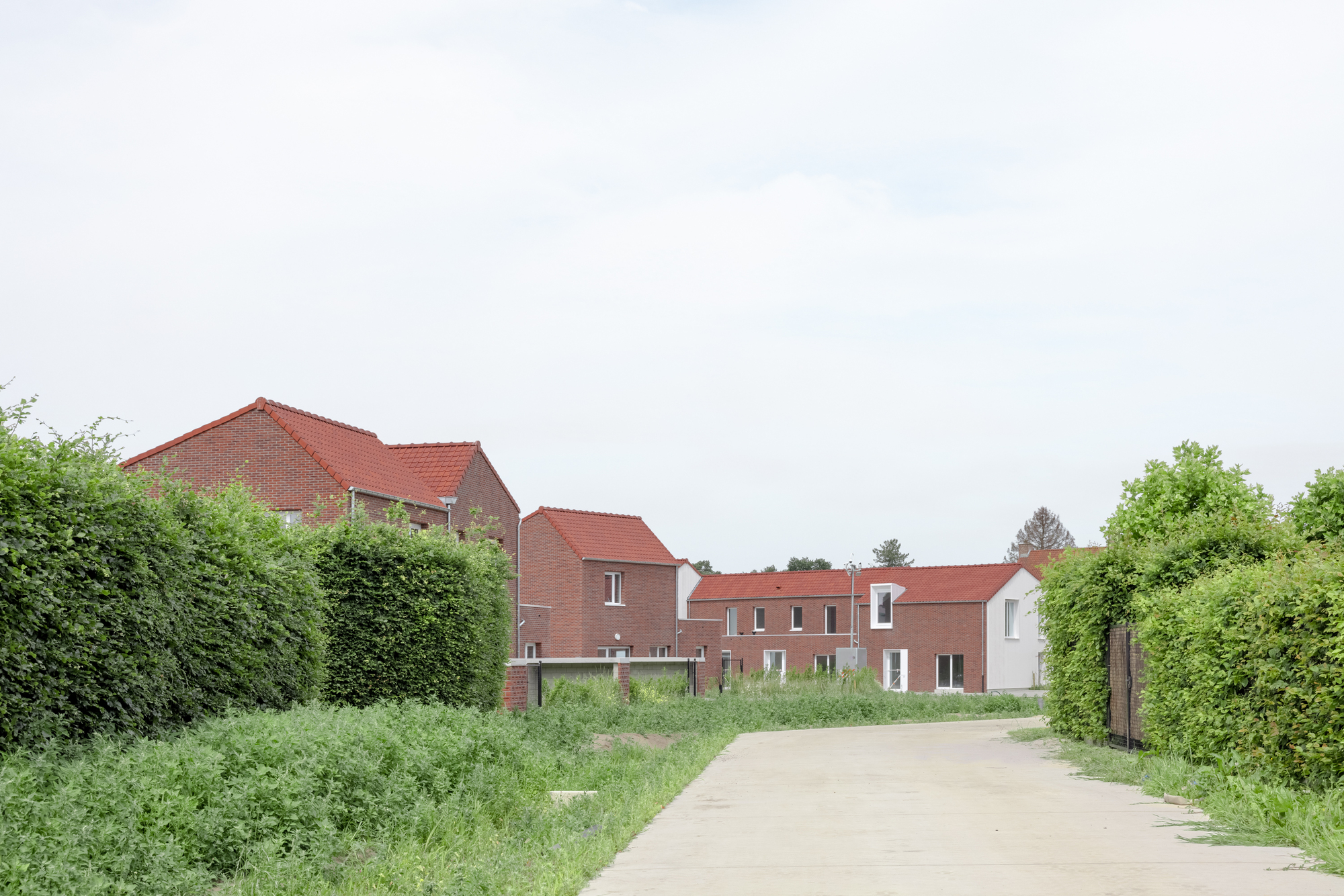 Laathof 44 社会住宅丨比利时丨plusoffice architects-26