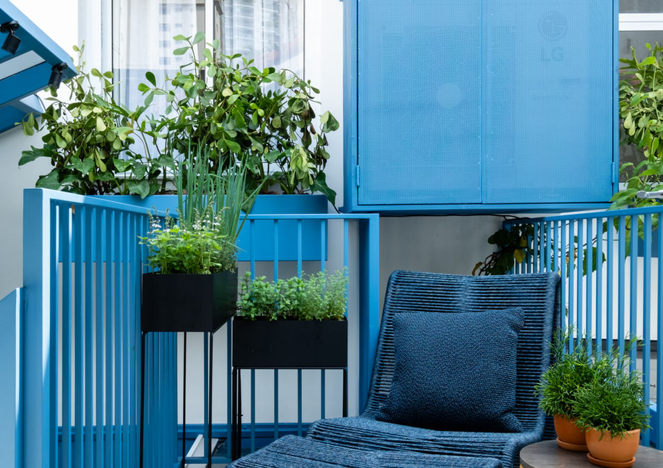 丨巴西圣保罗-42