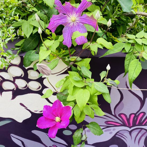 奥威尔村舍花园丨英国爱丁堡-11