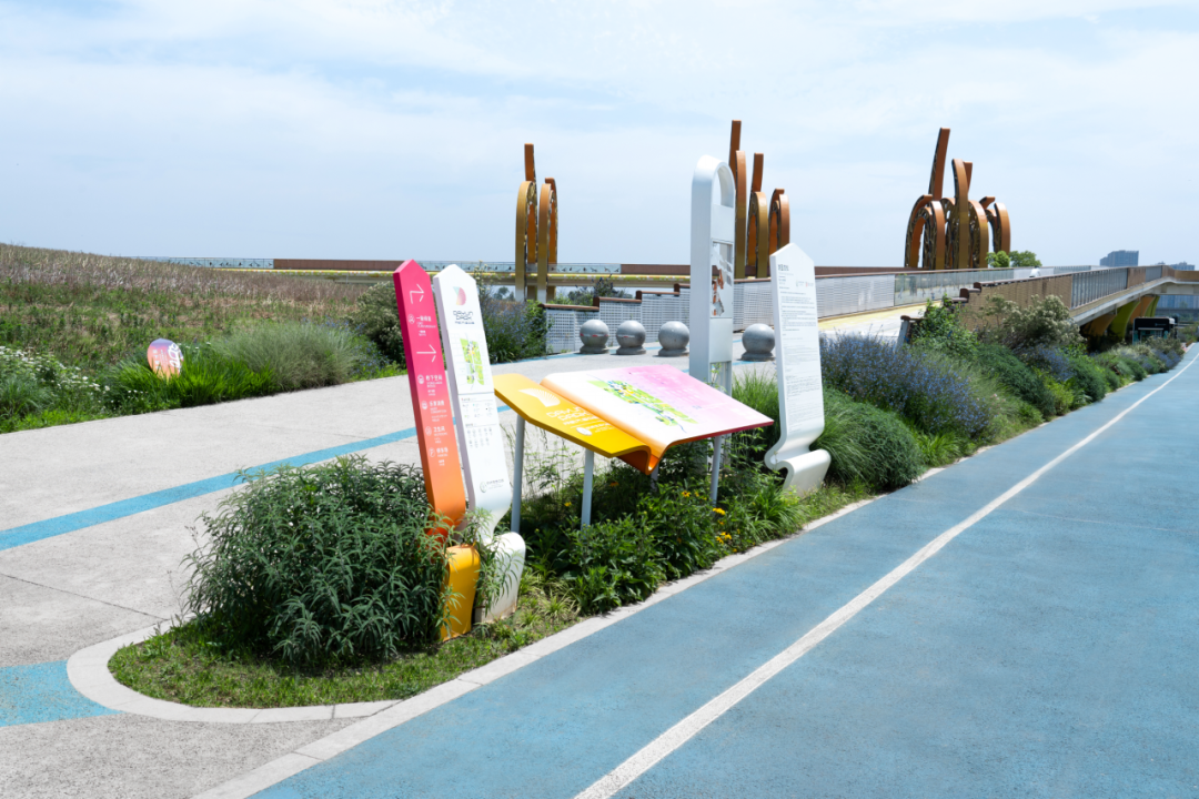 那条飘带 等你触碰:成都大运公园,BOXI柏熙标识丨中国成都丨上海柏熙标识有限公司-50