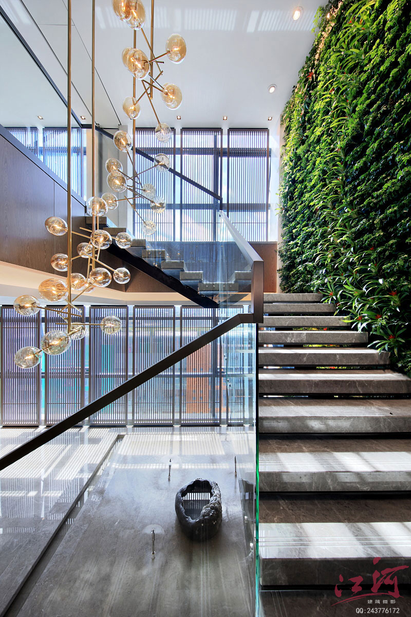 办公室空间摄影|深圳空间摄影|金活医药集团|办公室拍照-7