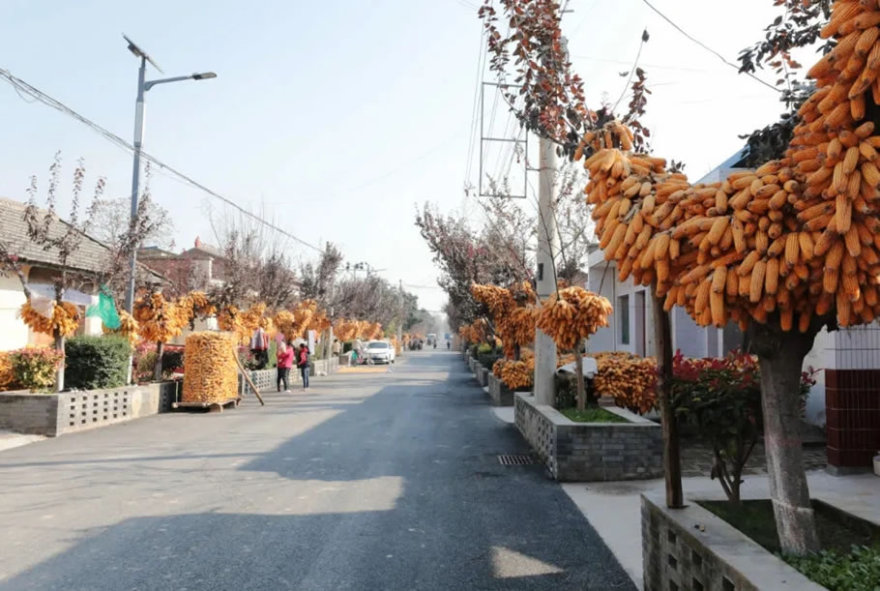 陕西大魏村美丽乡村建设丨中国咸阳-38