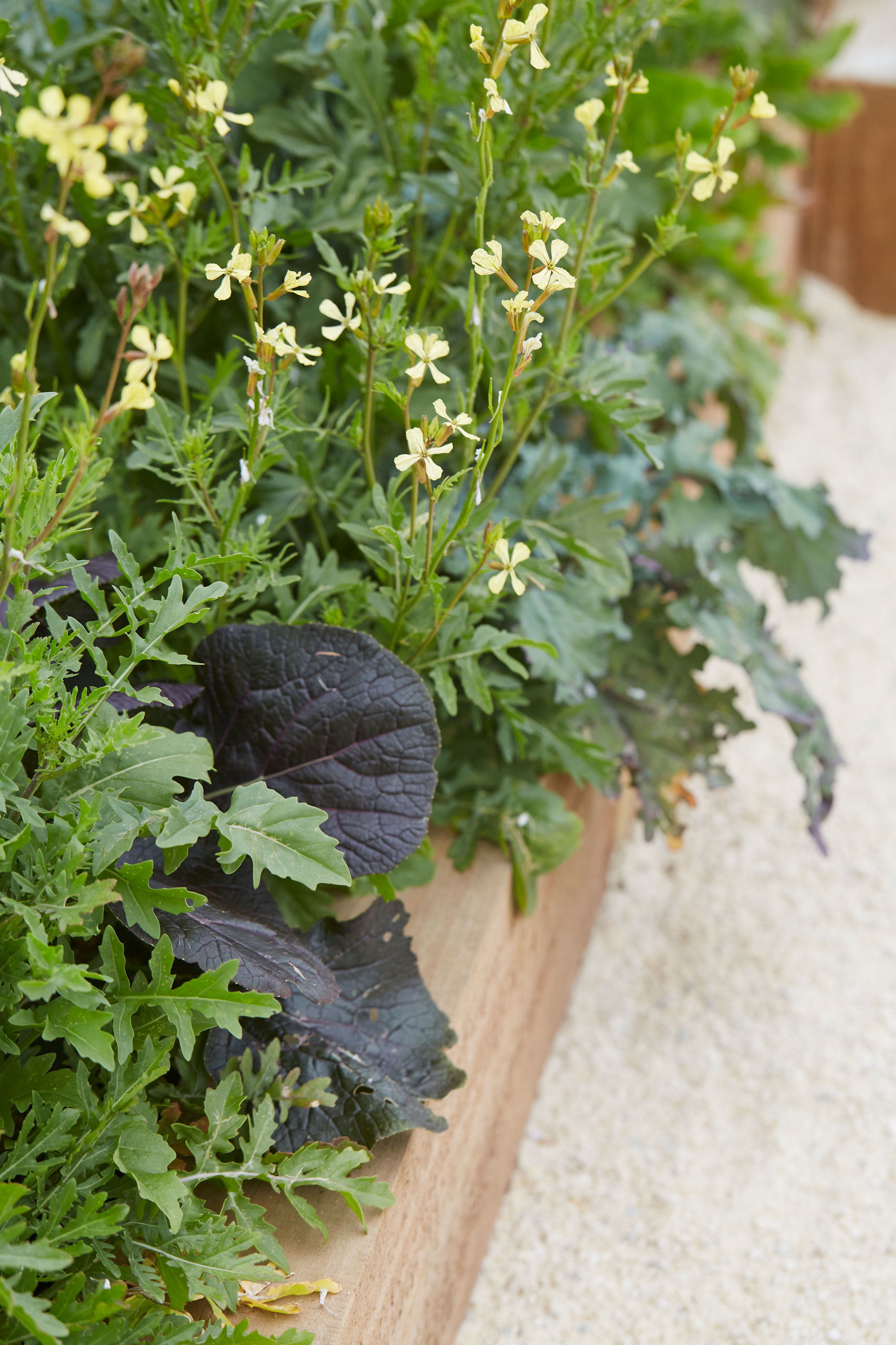 丨新西兰奥克兰丨Xanthe White,James Walkinshaw-13