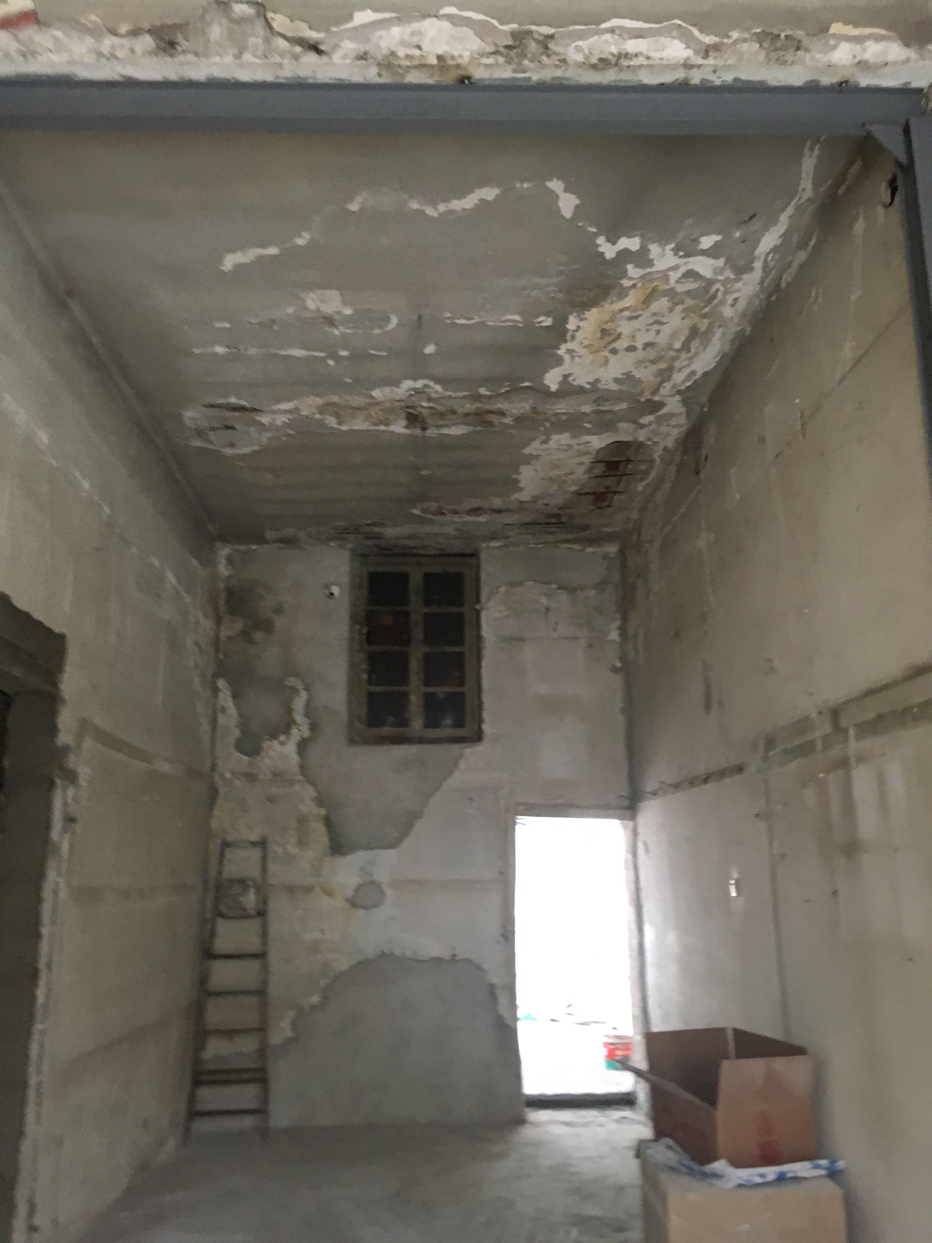 现有书店新增空间项目丨希腊-12