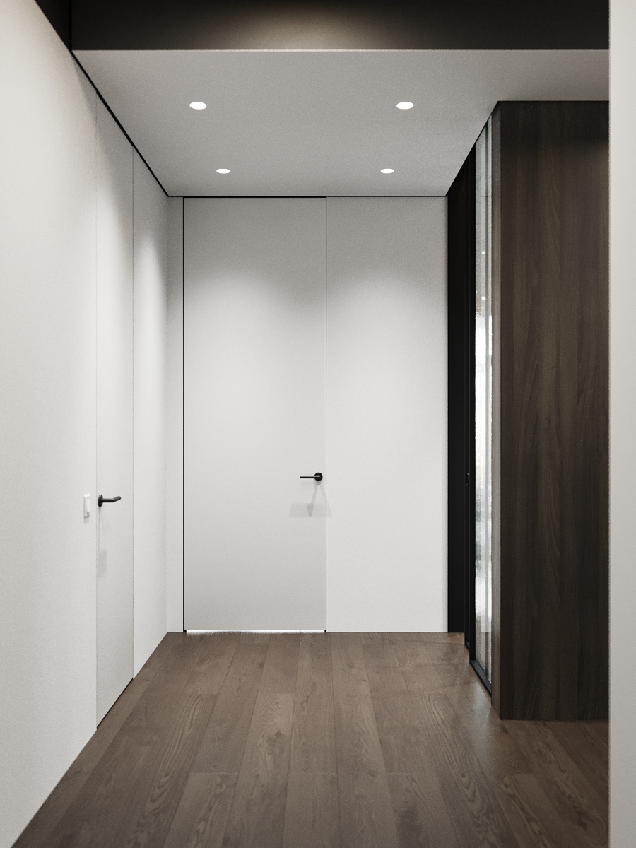 现代极简平层设计典范-1