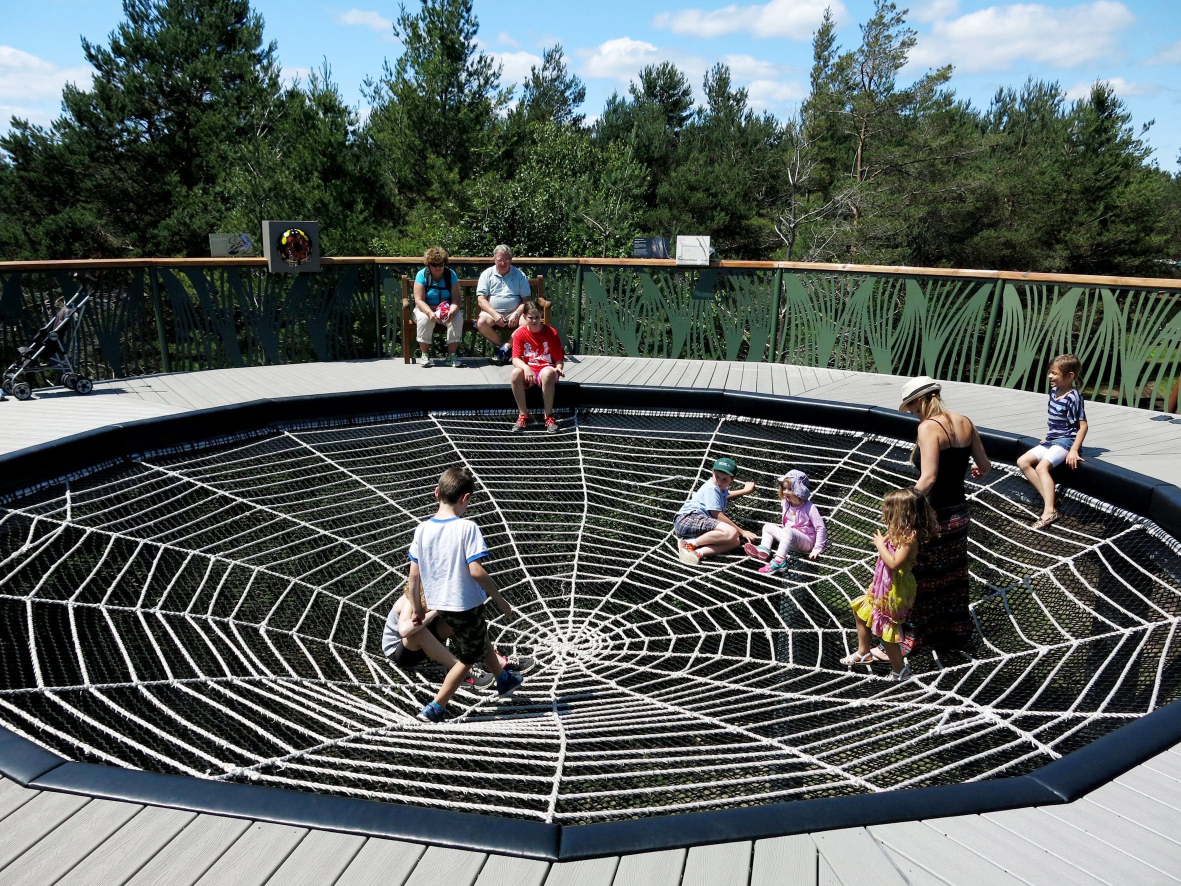 阿迪朗达克斯野生步道丨查尔斯·雷伊-28