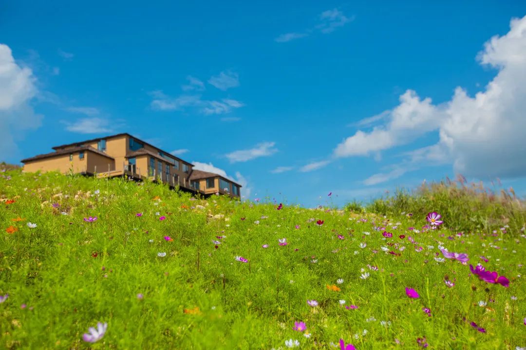 野奢秘境，探寻春日浪漫-239