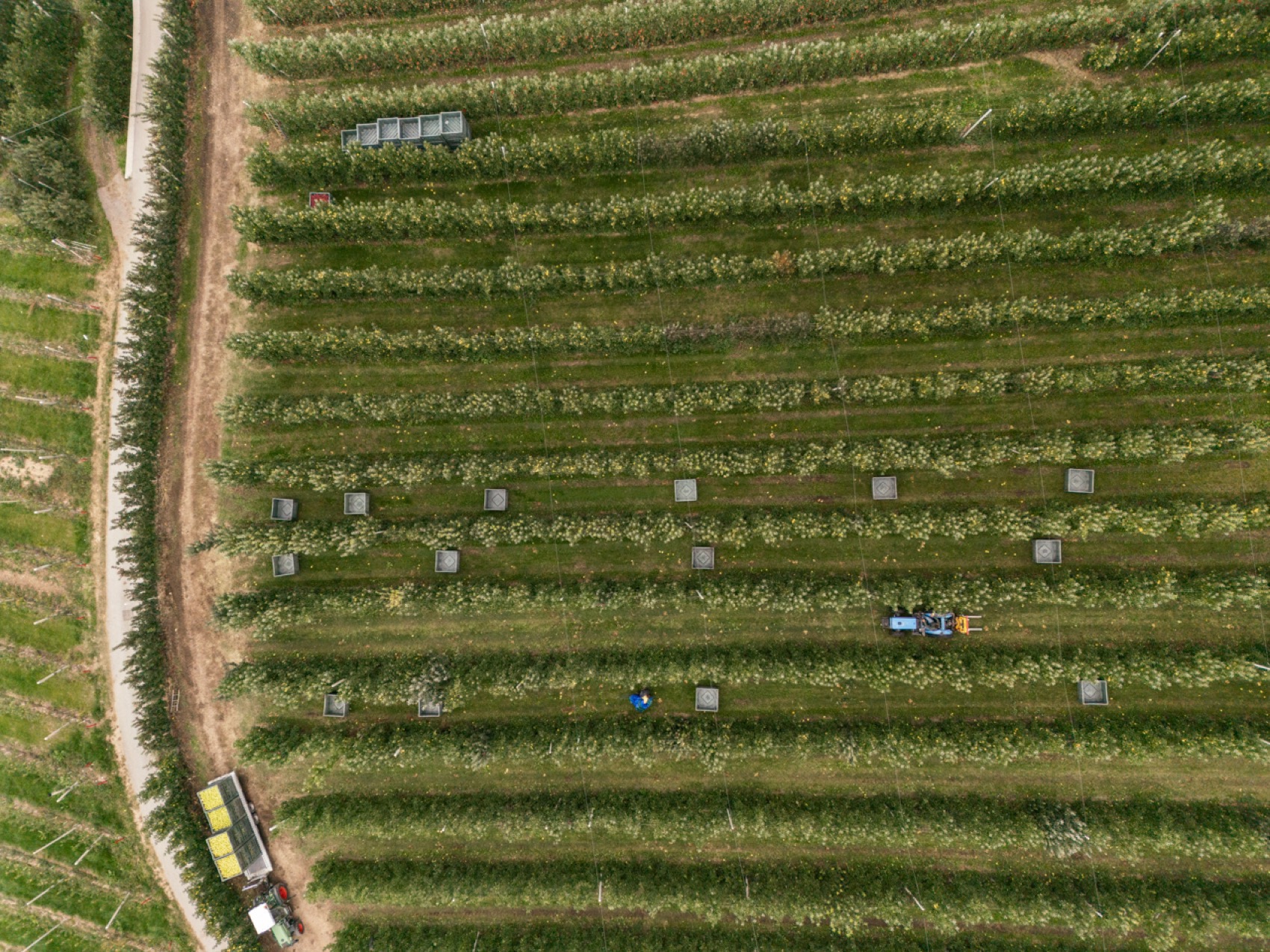 故乡之家丨意大利特伦托-193