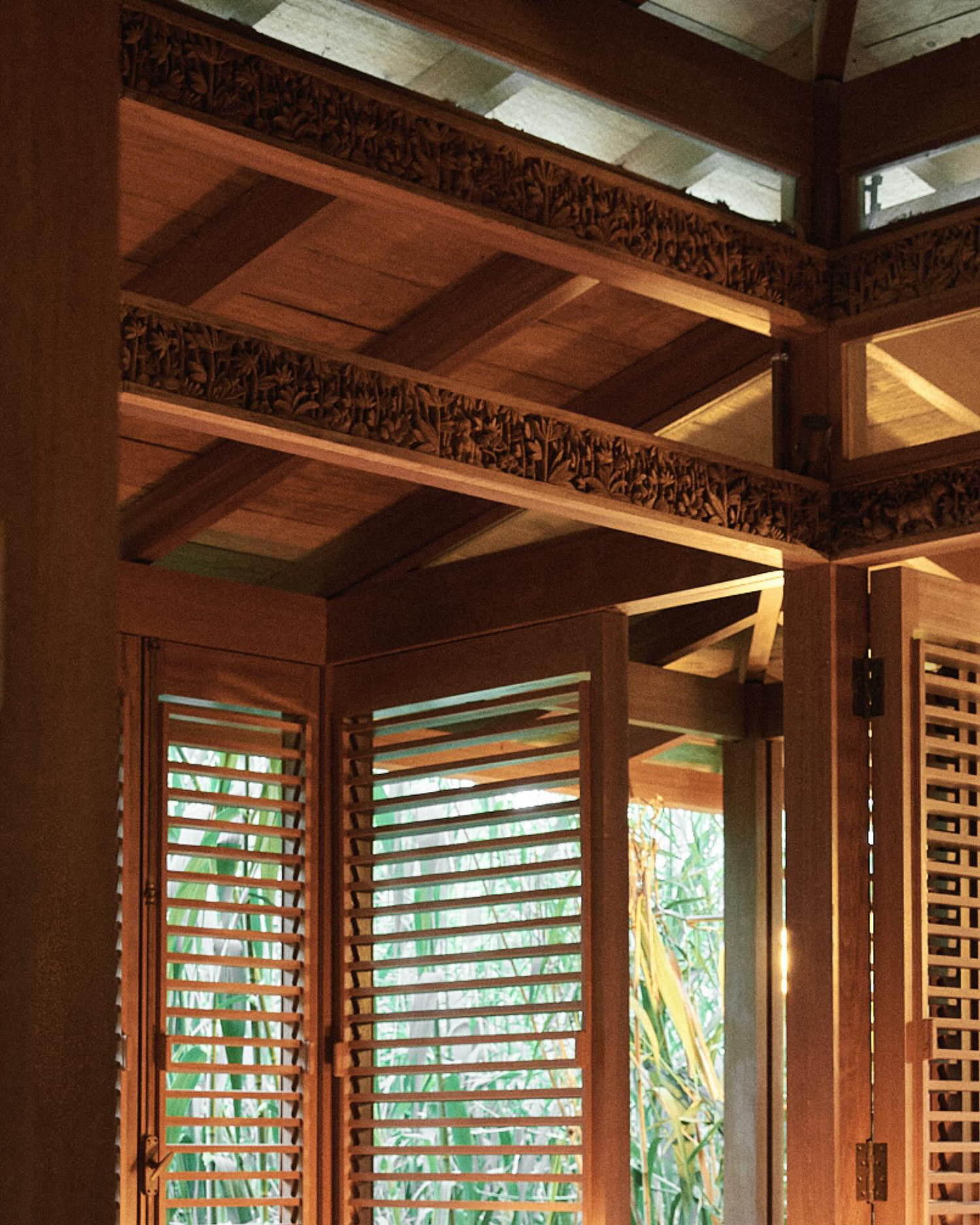 自然中的静谧沉思-22