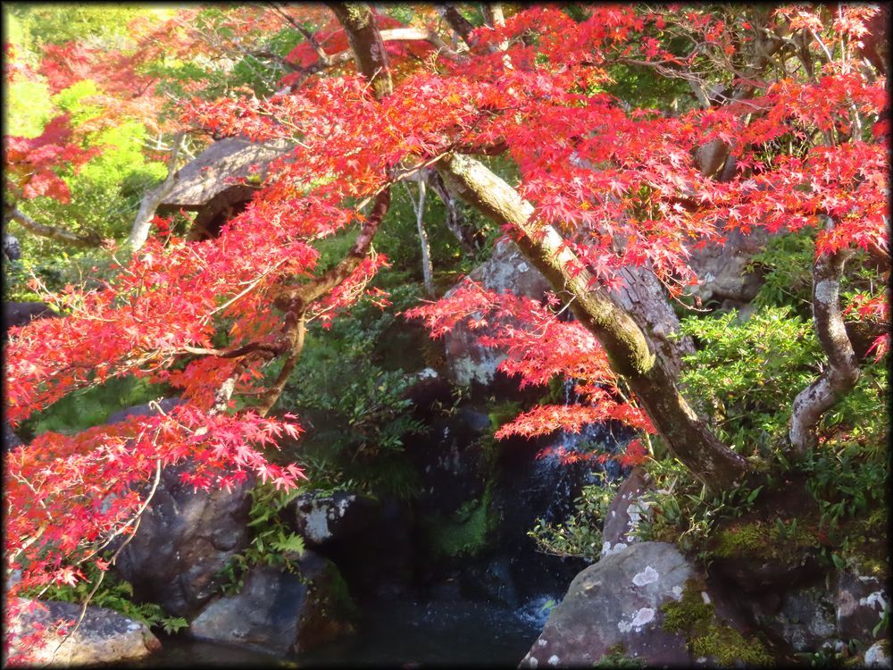 对龙山庄庭园丨日本京都丨七代目小川治兵衛-21