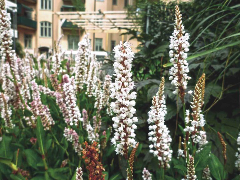 Garden by Anna（斯德哥尔摩现代功能性内院）丨瑞典斯德哥尔摩-8