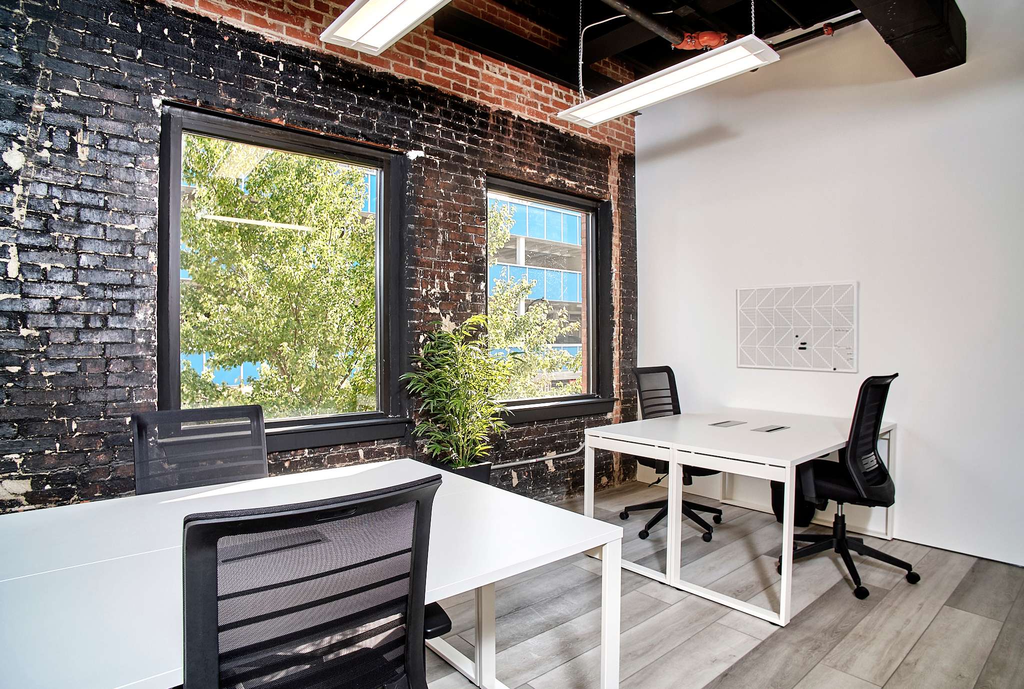 LOCALE 321   Picture gallery_files Maya Sheinberger-11