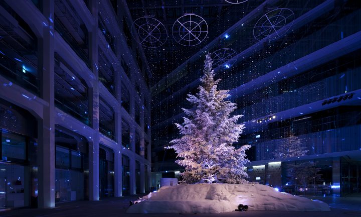 WHITE KITTE  Suppose Design-2