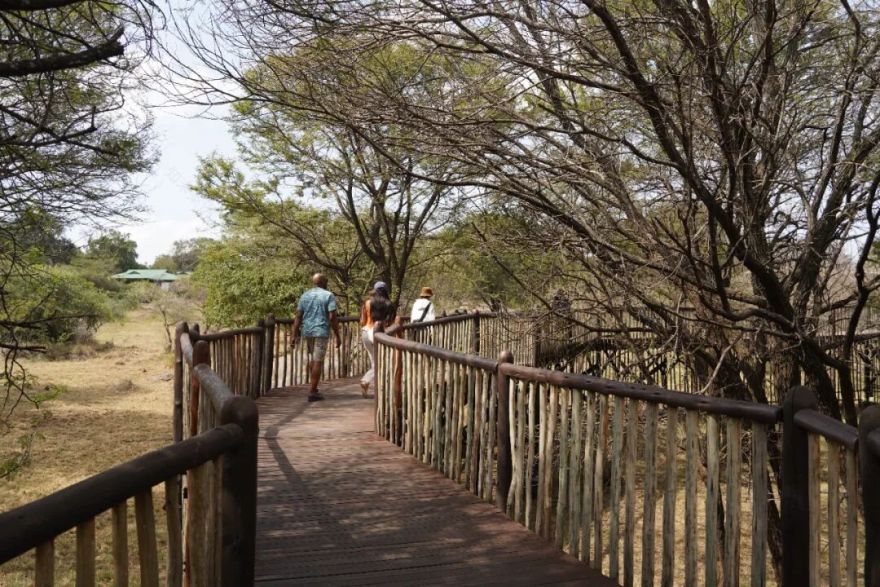 非洲考察2|坦桑酒店探访-156