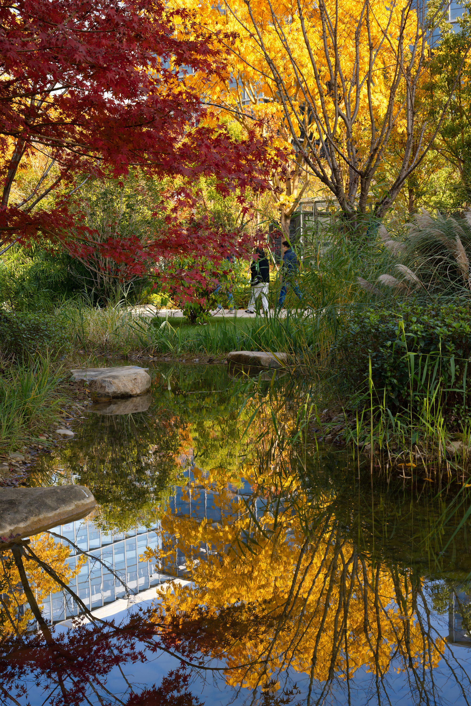 阿里巴巴西溪园区C区丨中国杭州丨ASPECT Studios-73