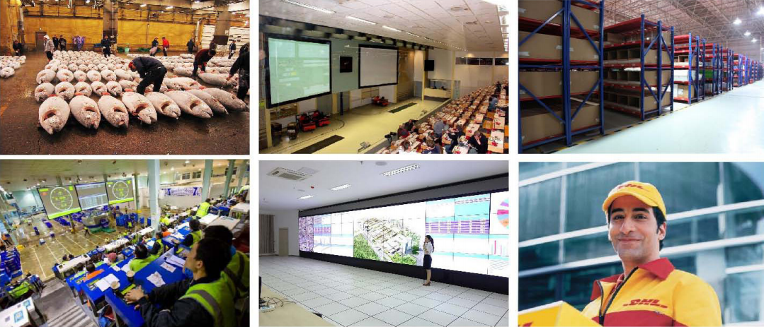 亚泰赋能阳春农业产业链升级：阳春冷链物流园筑就大湾区农产品流通新枢纽~-38