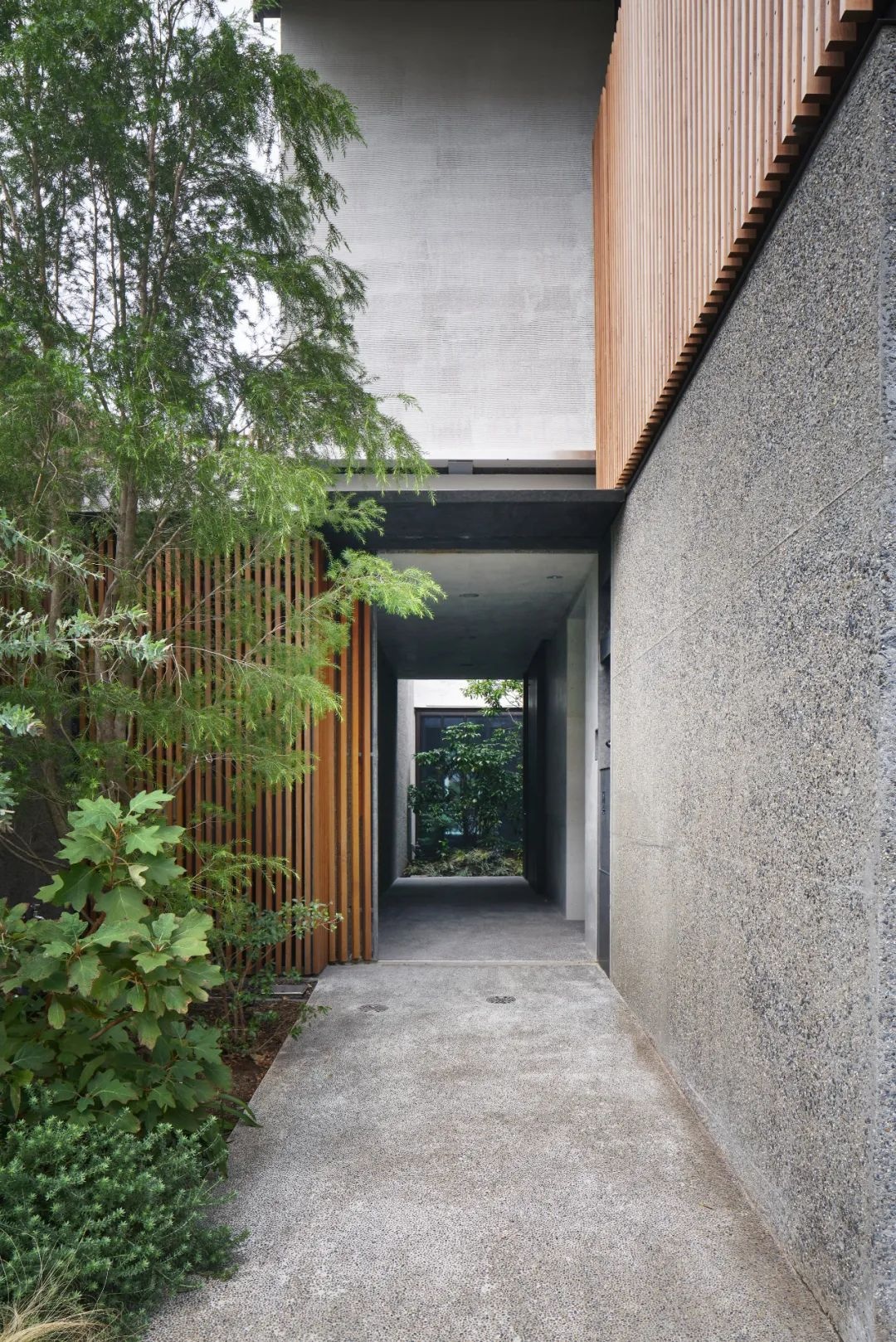 花园住宅丨日本东京丨Keiji Ashizawa Architects-51