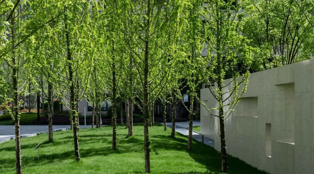 西安曲江·雁栖玫瑰园住宅景观丨中国西安-14