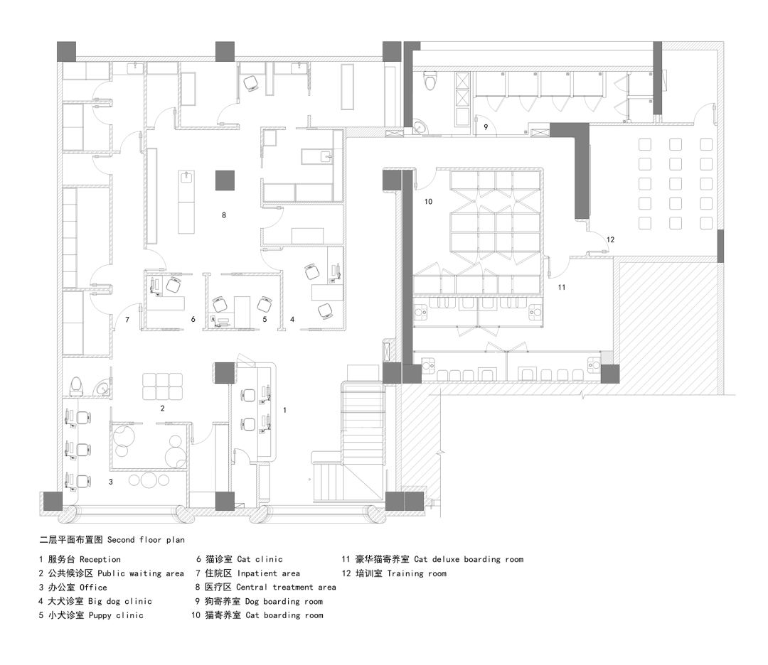 bibu宠物店丨中国广州丨今朝风日好ofD-61