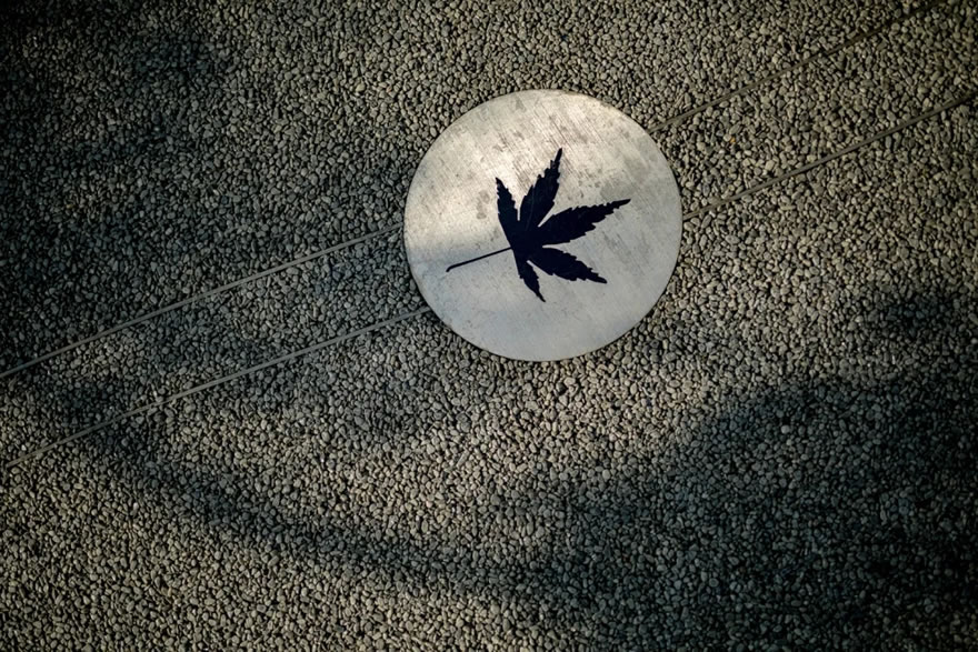 西雅图(云谷公寓)-39