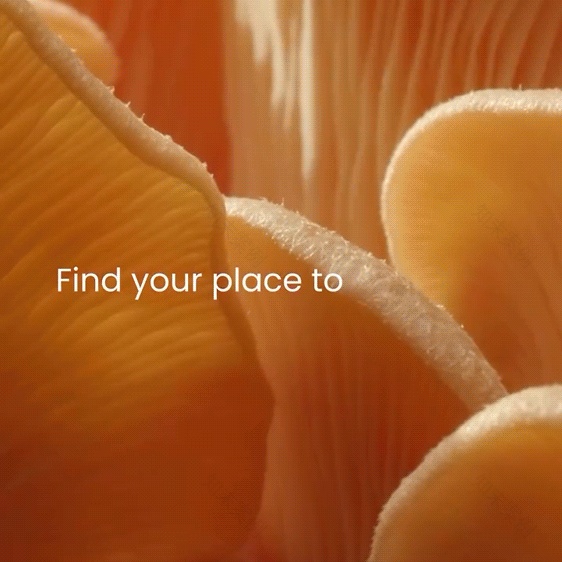 伦敦六善酒店及相关公寓项目丨英国伦敦丨建筑修复Foster Partners,室内设计AvroKO等-9