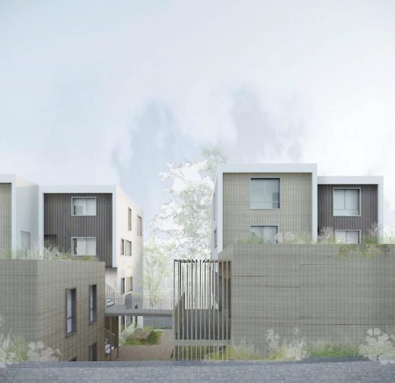 Pierres, Pavés, Bouleaux – 31 logements en bois dans un jardin / Triel-sur-Seine – Virtuel-5
