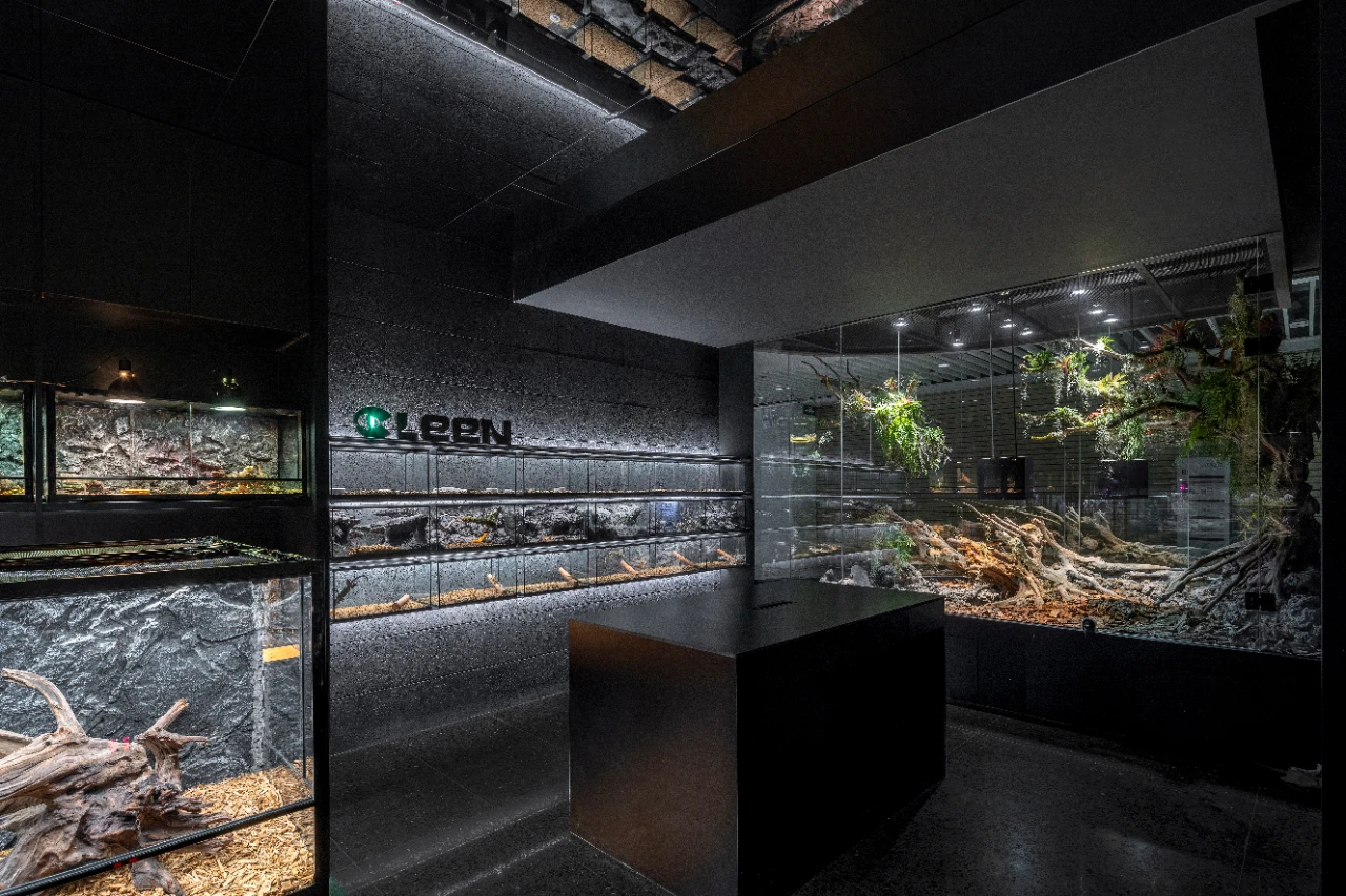 鳞动｜其鳞· 爬宠体验店丨谢几点设计事务所（中国•广州）-41