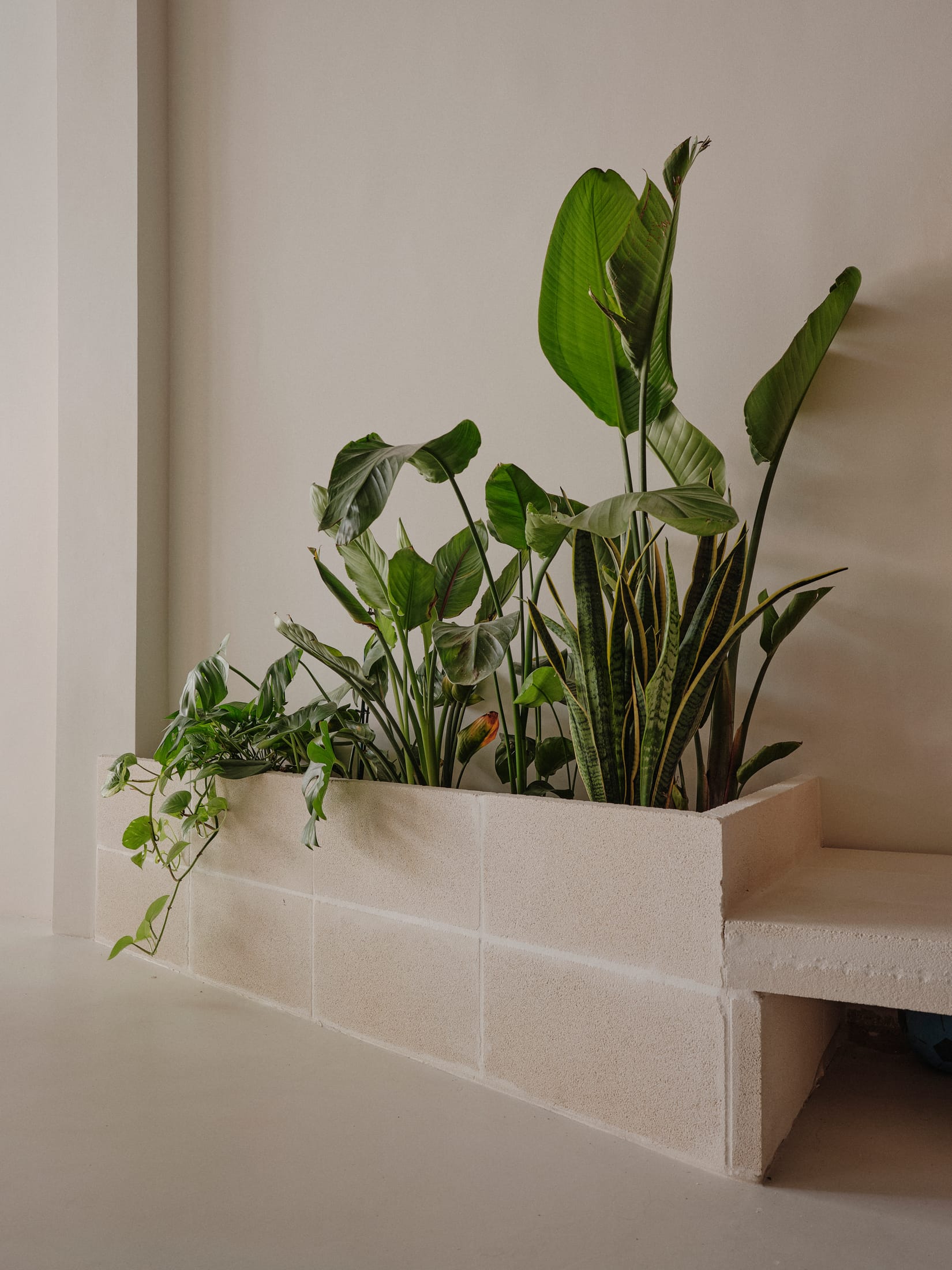 Sornells 21共享 workspace丨西班牙丨Paloma Bau,T.O.T（由Ausiàs Pérez领导）-5
