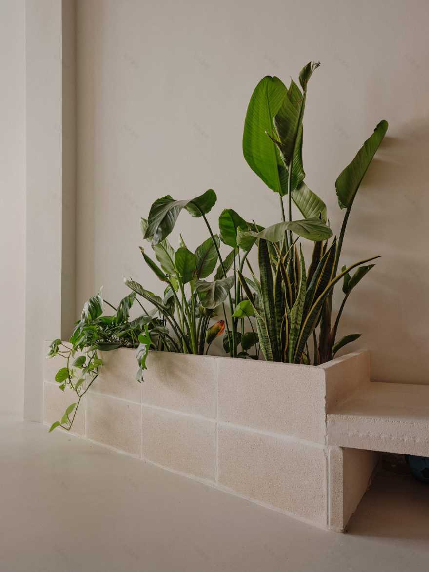 Sornells 21共享 workspace丨西班牙丨Paloma Bau,T.O.T(由Ausiàs Pérez领导)-5