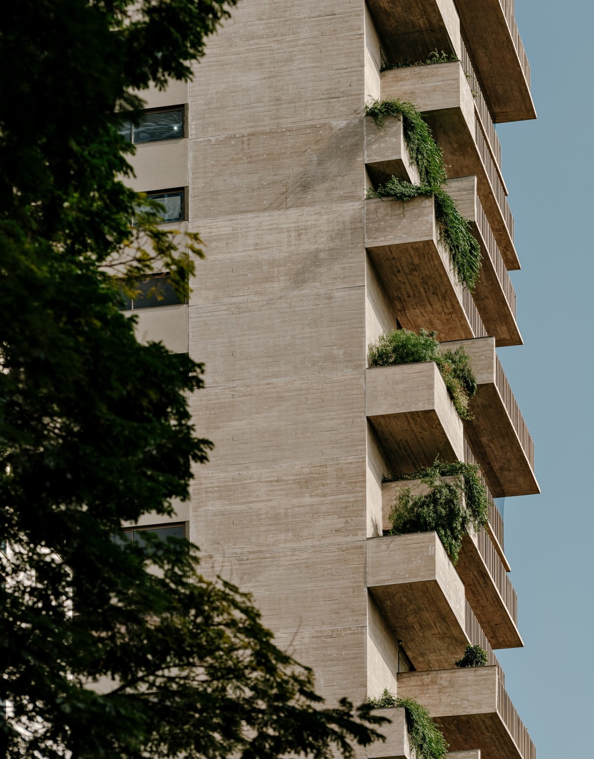 第四代住宅丨巴西圣保罗丨Arthur Casas Studio-19